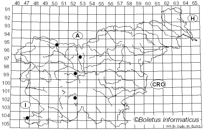<i>Puccinia suaveolens</i> (Pers.) Rostr. (1874)
