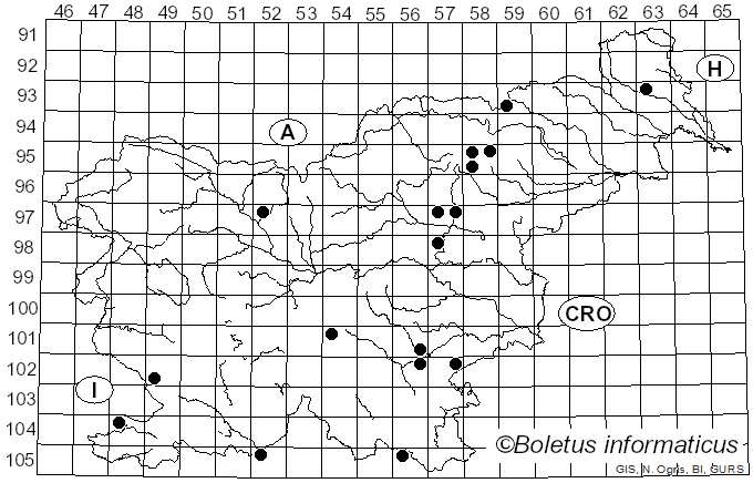<i>Ramaria ignicolor</i> Corner (1950)