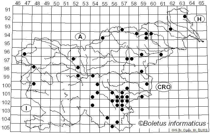 <i>Leccinum variicolor</i> Watling (1969)