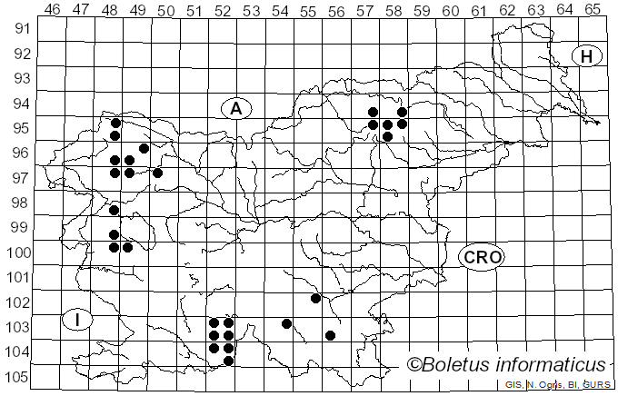 <i>Pertusaria coronata</i> (Ach.) Th. Fr. (1871)