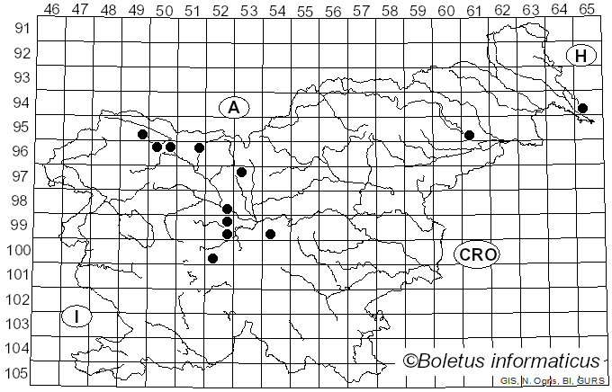 <i>Tubercularia</i> Tode (1790)