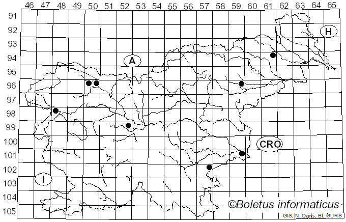 <i>Psathyrella bipellis</i> (Quél.) A.H. Sm. (1946)