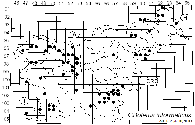 <i>Phlebia</i> Fr. (1821)