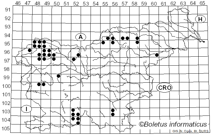 <i>Cladonia coniocraea</i> (Flörke) Spreng. (1827)