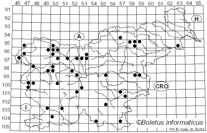 <i>Mollisia</i> (Fr.) P. Karst. (1871)