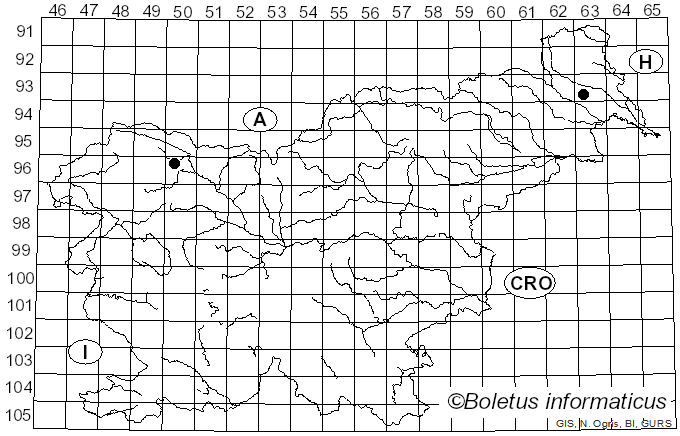 <i>Echinosphaeria strigosa</i> (Alb. & Schwein.) Declercq (2009)
