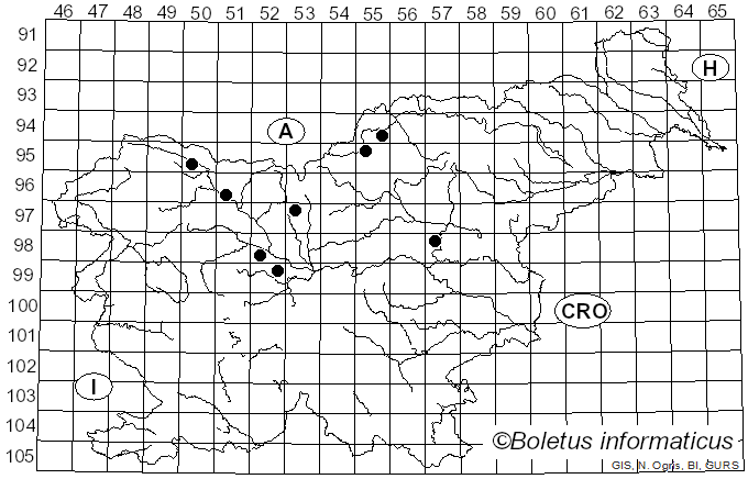 <i>Ramularia lapsanae</i> (Desm.) Sacc. (1882)