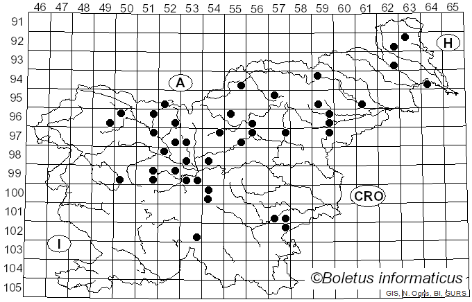 <i>Gyromitra esculenta</i> (Pers.) Fr. (1849)