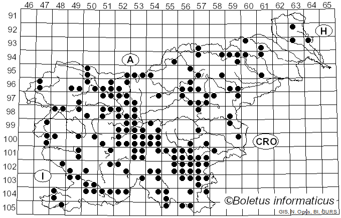 <i>Russula aurea</i> Pers. (1796)