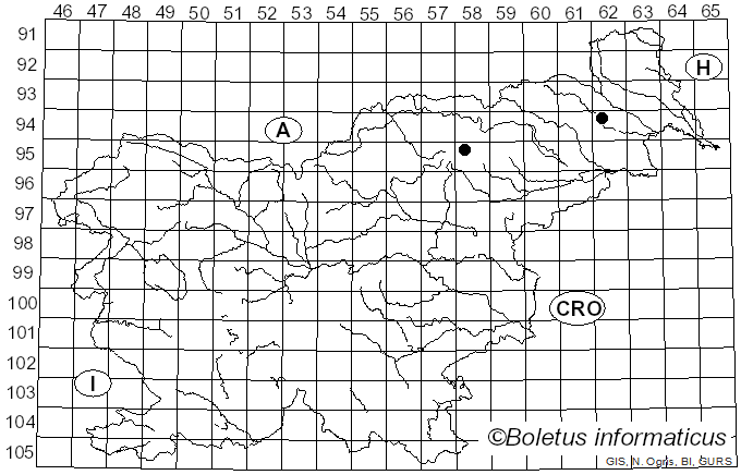 <i>Hypocrea pulvinata</i> Fuckel (1870)