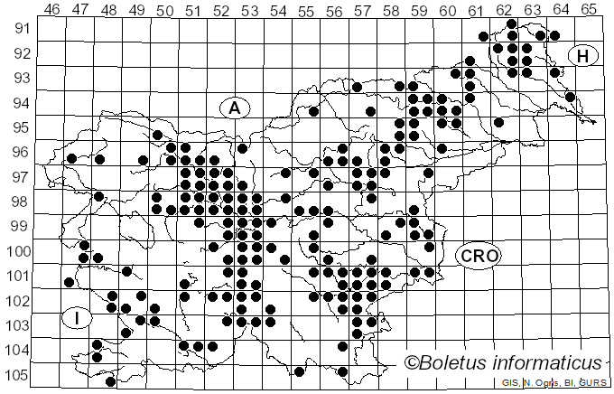 <i>Collybia nuda</i> (Bull.) Z.M. He & Zhu L. Yang (2023)