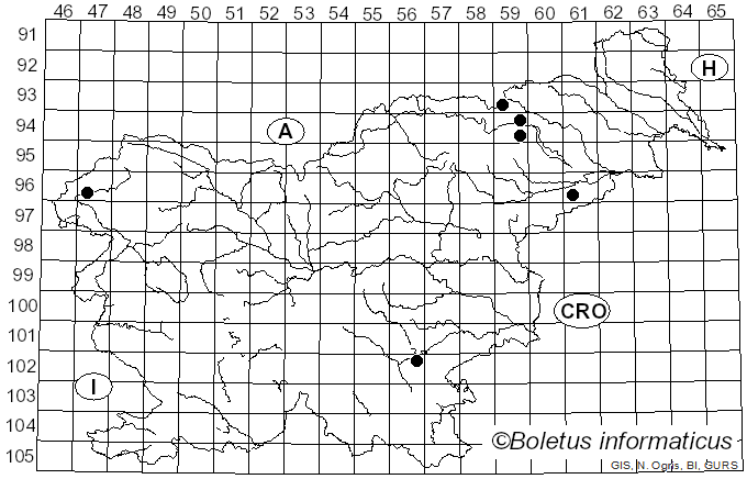<i>Mycena cinerella</i> (P. Karst.) P. Karst. (1879)
