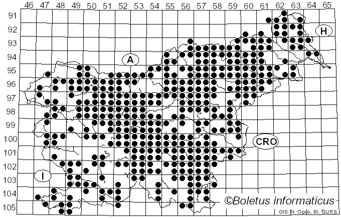 <i>Cantharellus</i> Adans. ex Fr. (1821)
