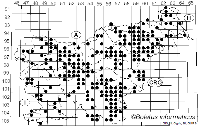 <i>Laetiporus sulphureus</i> (Bull.) Murrill (1920)