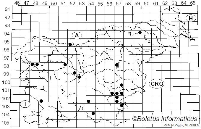 <i>Lactarius ruginosus</i> Romagn. (1957)
