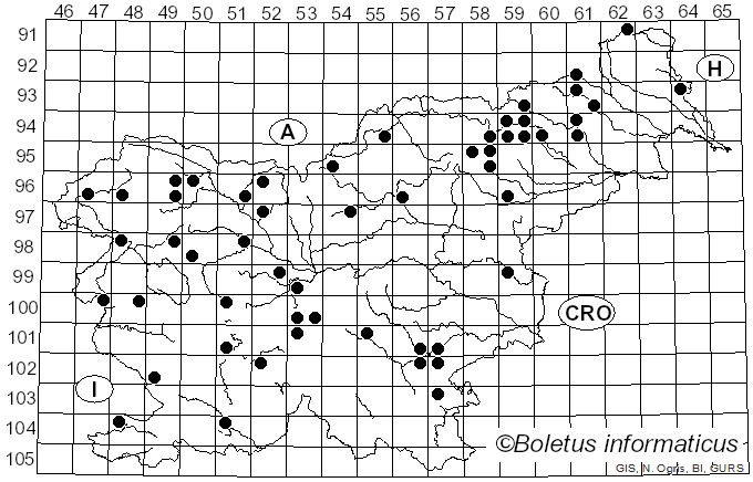 <i>Cortinarius caninus</i> (Fr.) Fr. (1838)