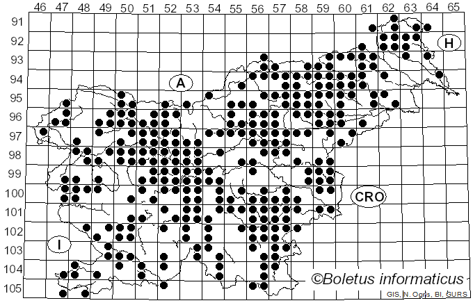 <i>Laccaria</i> Berk. & Broome (1883)