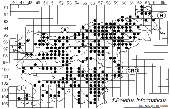 <i>Calocera viscosa</i> (Pers.) Fr. (1821)