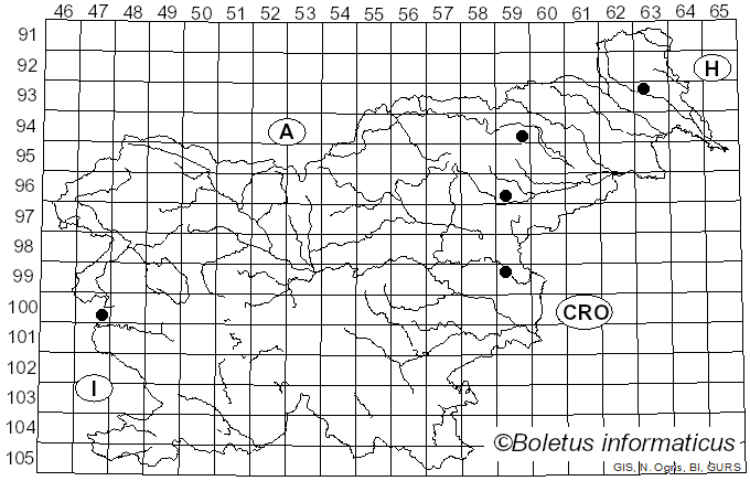<i>Cortinarius pseudocandelaris</i> (M.M. Moser) M.M. Moser (1967)