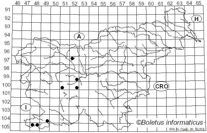 <i>Epistrophe eligans</i> Harris (1780)