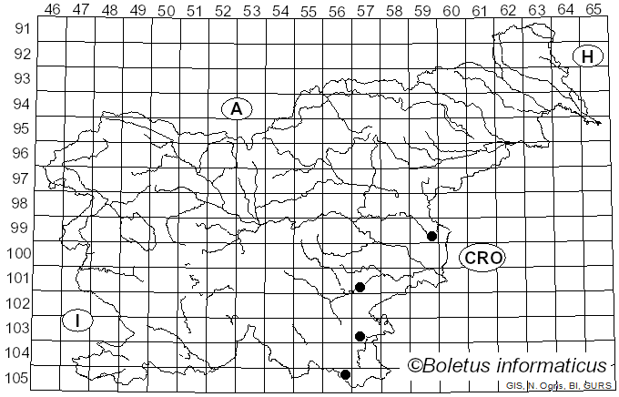 <i>Amanita simulans</i> Contu (1999)