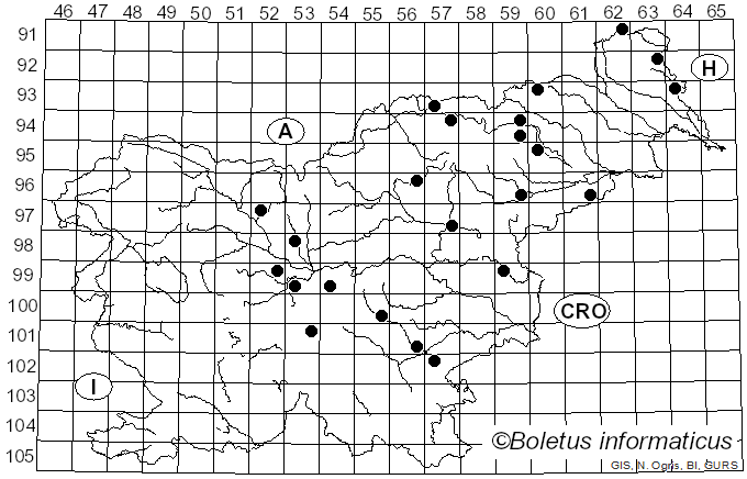 <i>Mycena zephirus</i> (Weinm.) Quél. (1871)