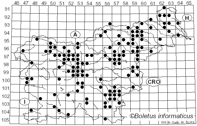 <i>Coprinopsis atramentaria</i> (Bull.) Redhead, Vilgalys & Moncalvo (2001)