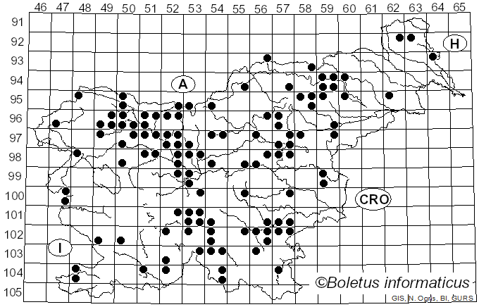 <i>Tremiscus</i> (Pers.) Lév. (1846)