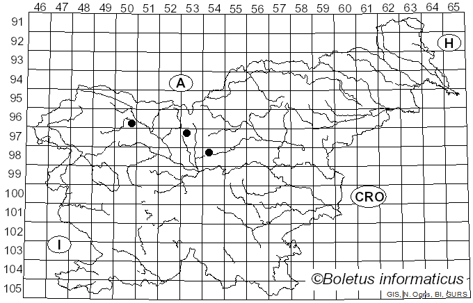 <i>Trichopezizella nidulus</i> (J.C. Schmidt & Kunze) Raitv. (1970)