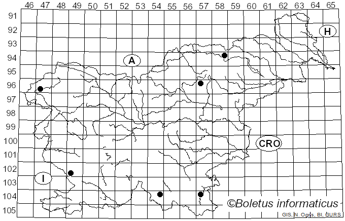 <i>Callistosporium luteo-olivaceum</i> (Berk. & M.A. Curtis) Singer (1946)