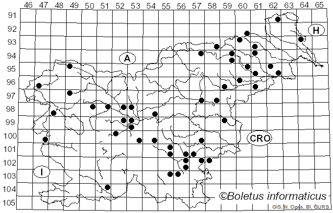 <i>Parasola plicatilis</i> (Curtis) Redhead, Vilgalys & Hopple (2001)