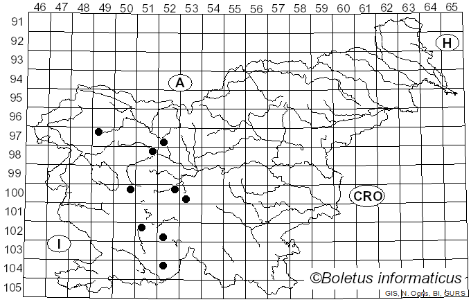 <i>Cheilosia variabilis</i> Panzer (1798)