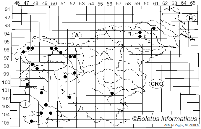 <i>Terana coerulea</i> (Lam.) Kuntze (1891)
