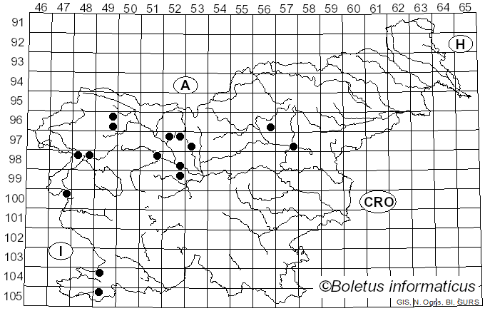 <i>Tricholoma psammopus</i> (Kalchbr.) Quél. (1875)