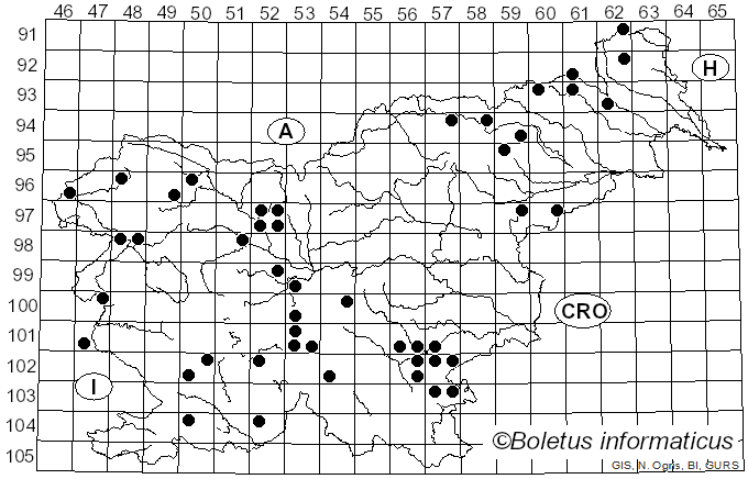 <i>Postia caesia</i> (Schrad.) P. Karst. (1881)