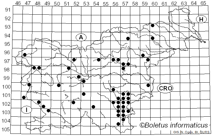 <i>Lactarius flavidus</i> Boud. (1887)