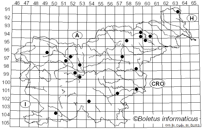 <i>Inocybe whitei</i> (Berk. & Broome) Sacc. (1887)