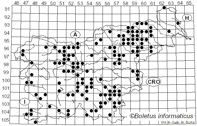 <i>Echinoderma</i> (Locq. ex Bon) Bon (1991)