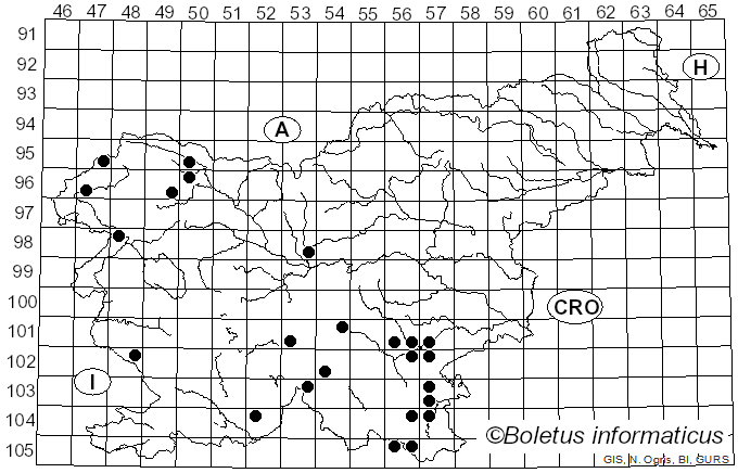 <i>Rubroboletus rubrosanguineus</i> (Cheype) Kuan Zhao & Zhu L. Yang (2014)