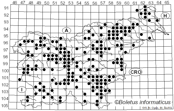 <i>Clavulina</i> J. Schröt. (1888)