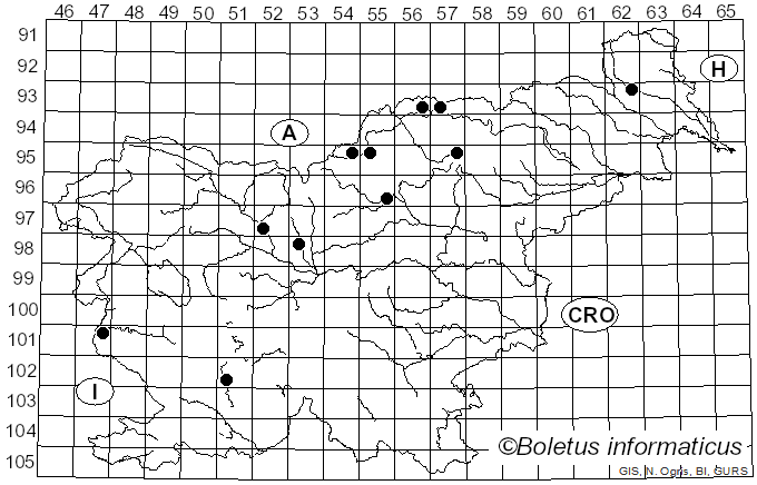 <i>Pityogenes</i> Bedel (1888)