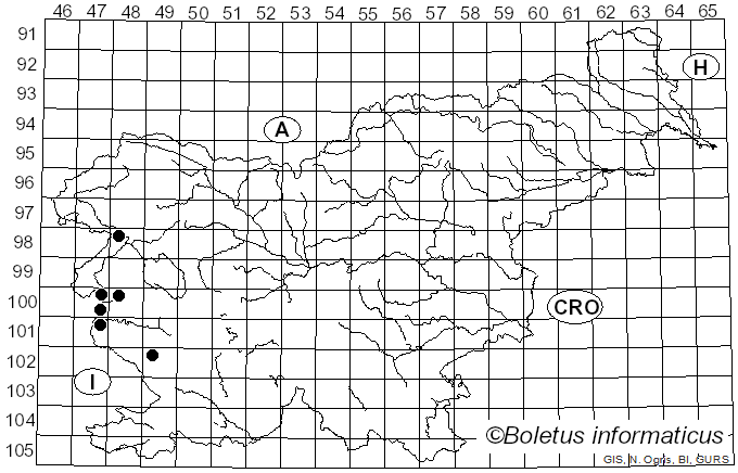 <i>Erysiphe magnifica</i> (U. Braun) U. Braun & S. Takam. (2000)