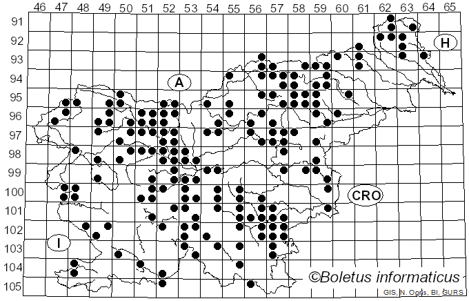 <i>Chalciporus piperatus</i> (Bull.) Bataille (1908)