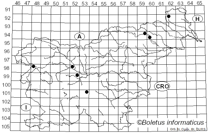 <i>Antrodia ramentacea</i> (Berk. & Broome) Donk (1966)