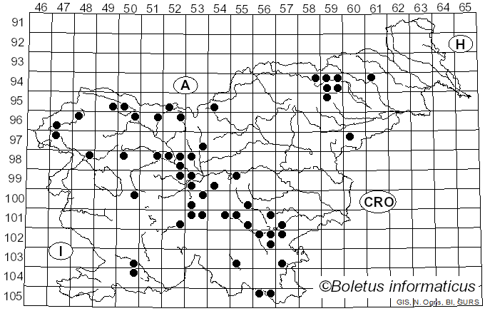 <i>Tubifera ferruginosa</i> (Batsch) J.F. Gmel. (1792)