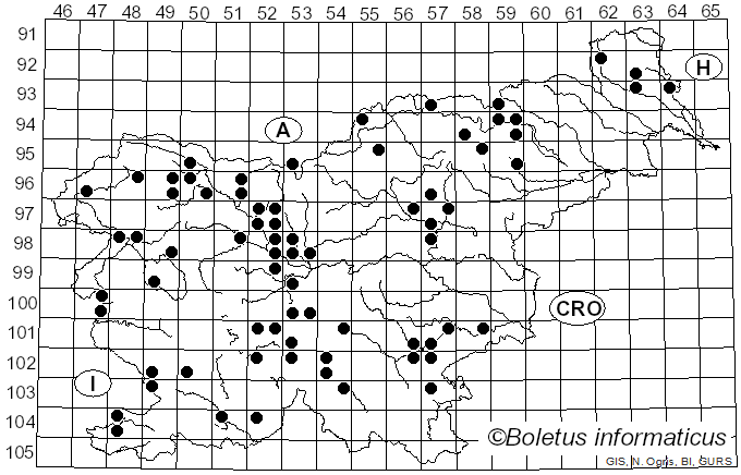 <i>Clavariadelphus truncatus</i> (Quél.) Donk (1933)