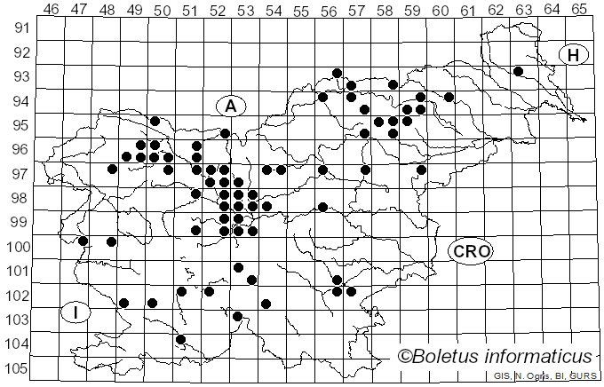 <i>Hygrophorus olivaceoalbus</i> (Fr.) Fr. (1838)