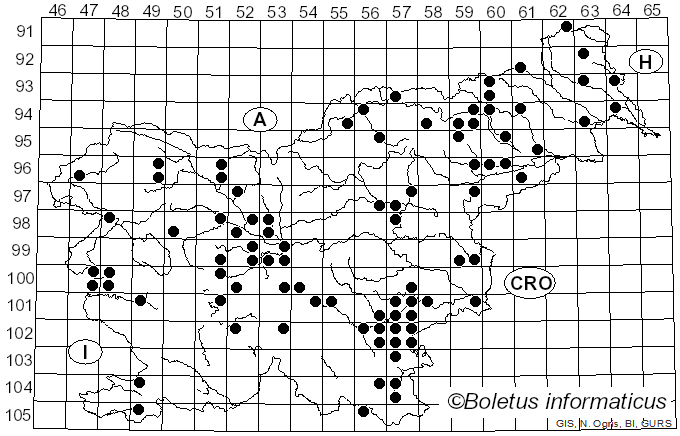 <i>Lentinus tigrinus</i> (Bull.) Fr. (1825)
