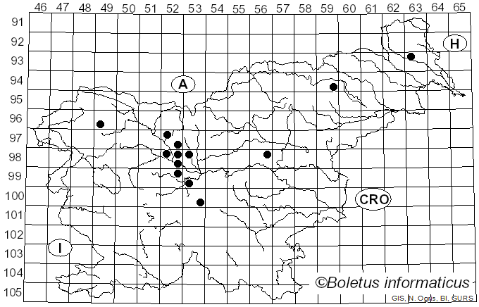 <i>Cuphophyllus cinerellus</i> (Kühner) Bon (1985)