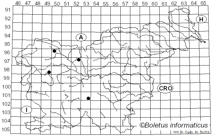 <i>Tricholoma matsutake</i> (S. Ito & S. Imai) Singer (1943)